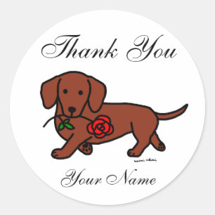 Dachshund and a flower cartoon classic round sticker