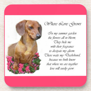 Dachshund Art Gifts Coaster