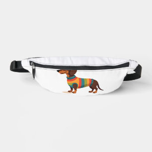 Dachshund au pull vintage arc-en-ciel Chien long m