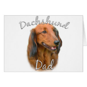 Dachshund (aux cheveux longs) Papa 2