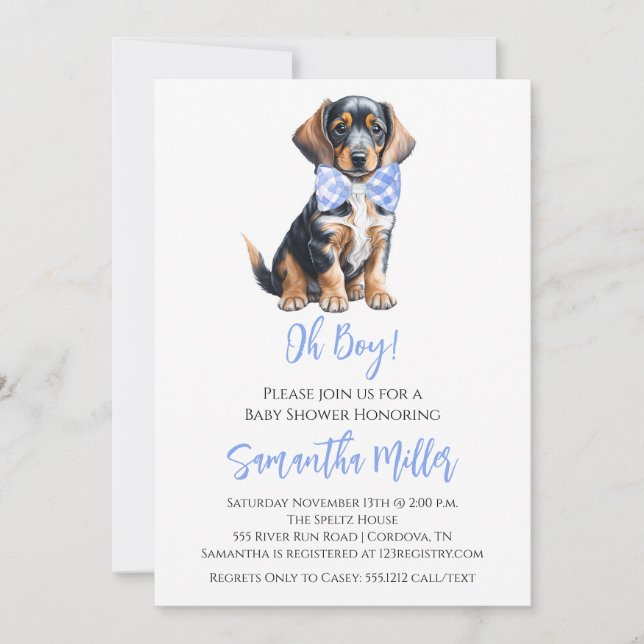 Dachshund Baby Boy Shower Invitation (Devant)