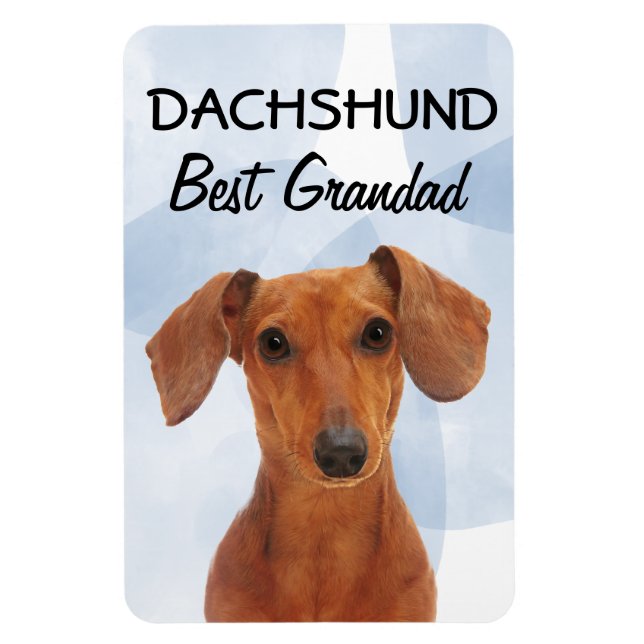 Dachshund Best Grand Magnet (Vertical)