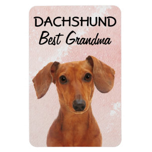 Dachshund Best Grandma  Magnet