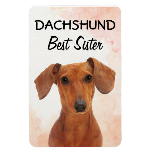 Dachshund Best Sister Magnet