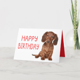 Dachshund Birthday Funny Wiener Dog  Dashie Bday Card
