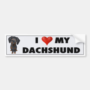 Dachshund (Black and Tan) Love Sticker