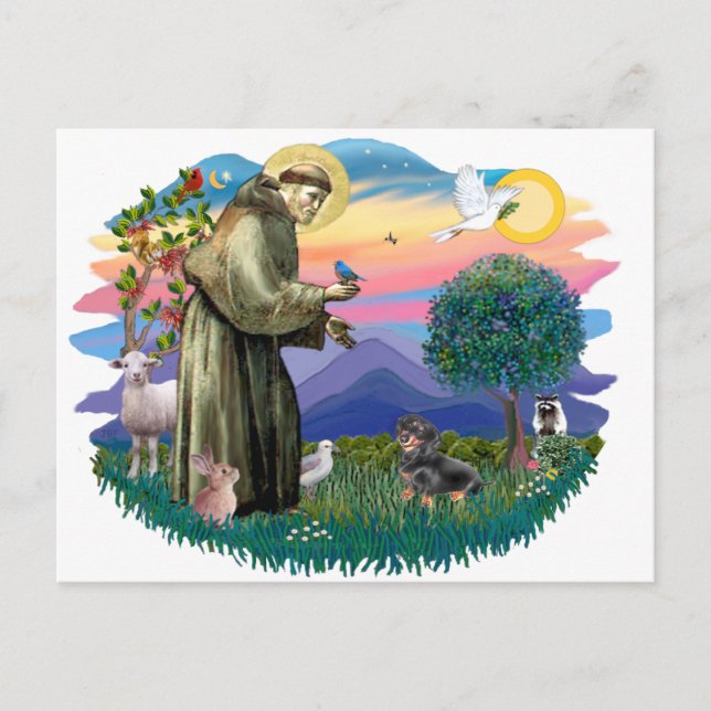 Dachshund (black and tan) postcard (Front)
