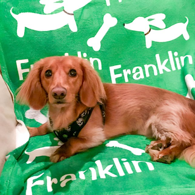 Dachshund Blanket Personalized Wiener Dog Gift  (Green customized wiener dog blanket)