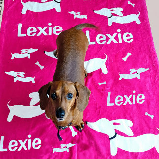 Dachshund Blanket Pink Personalized Doxie Gift