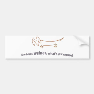 Dachshund. Born Weiner! Bumper Sticker