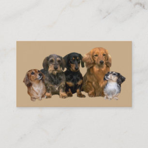 Dachshund Breeder Business Card
