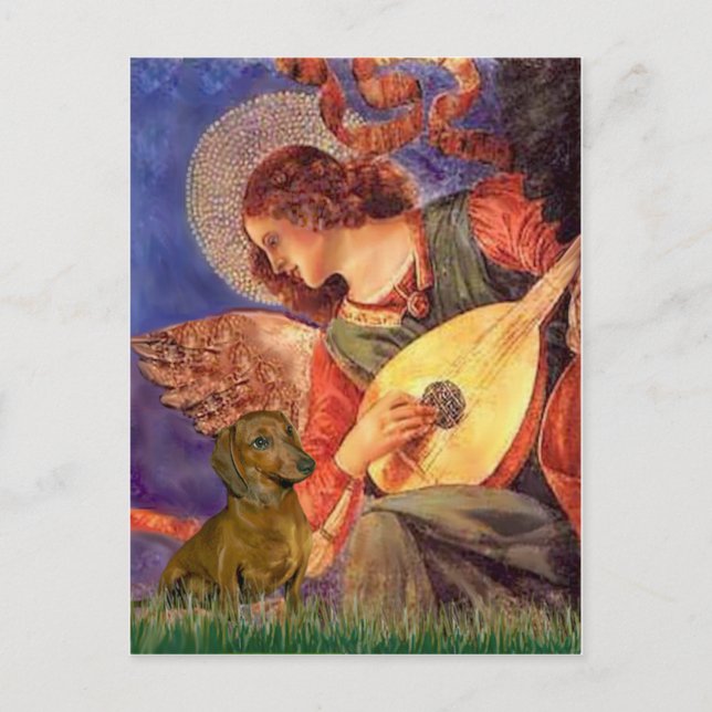 Dachshund (brown1) - Mandolin Angel Postcard (Front)