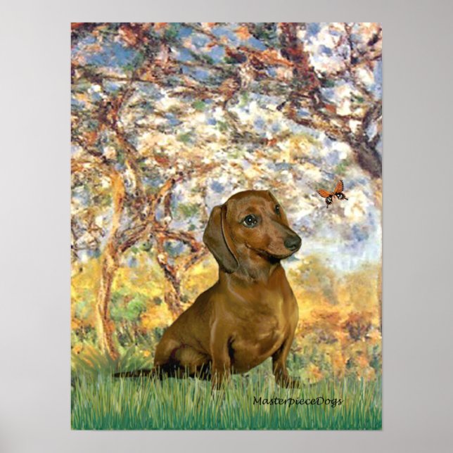 Dachshund (brown1) - Spring Poster (Front)