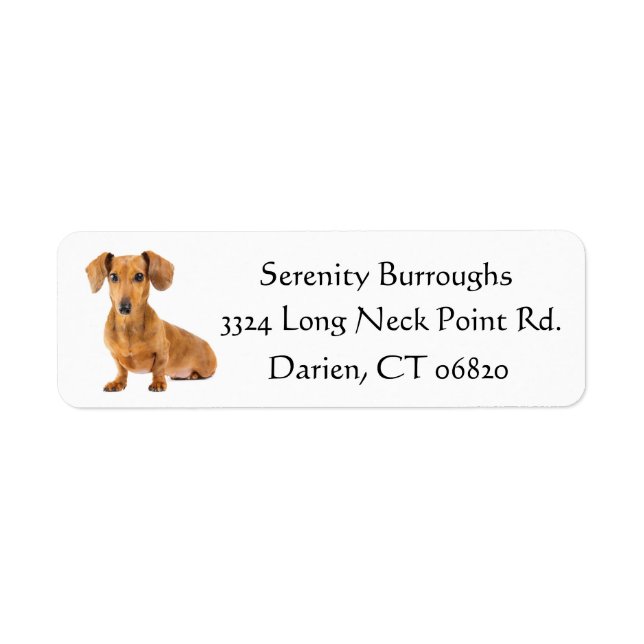 Dachshund Brown Puppy Dog Black Personalized (Front)
