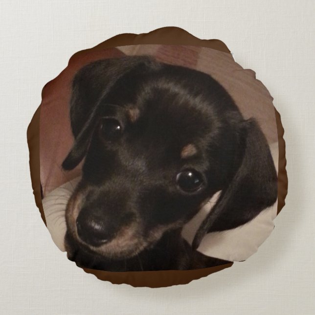 Dachshund Brushed Poly Round Throw Pillow (16&quot;) (Back)