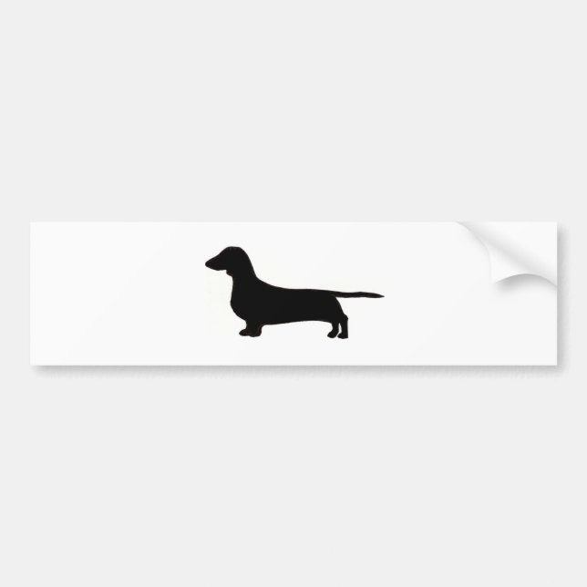 dachshund bumper sticker (Front)