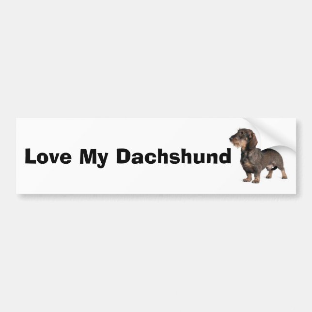 Dachshund Bumper Sticker (Front)