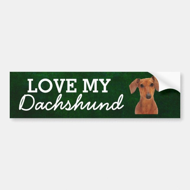 Dachshund bumper sticker (Front)