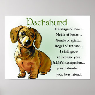 Dachshund Cadeaux Dachshund Affiches Imprimantes