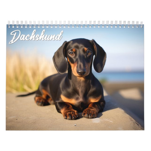 Dachshund Calendar (Cover)