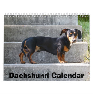 Dachshund Calendar 2023 Add Your Photos