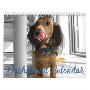 Dachshund Calendar 2023 Customized Photos