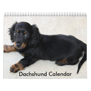 Dachshund Calendar 2023 Personalized Photos