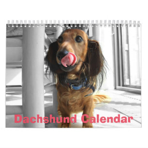 Dachshund Calendar 2025 Your Custom Photos