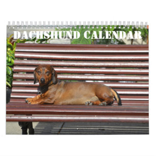 Dachshund Calendar 2026 With Photos