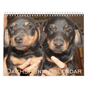 Dachshund Calendar 2026 With Photos