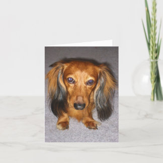 Dachshund Card