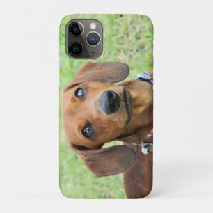 Dachshund iPhone 11 Pro Case