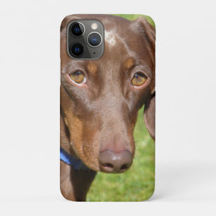 Dachshund  iPhone 11 pro case