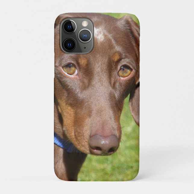 Dachshund  Case-Mate iPhone case (Back)