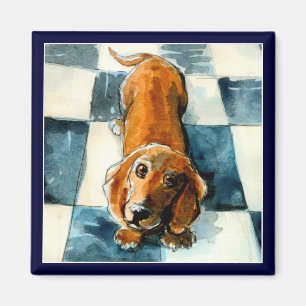 Dachshund chien amusant aimant