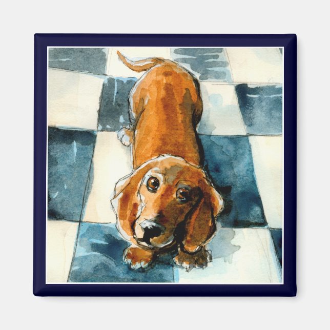 Dachshund chien amusant aimant (Devant)