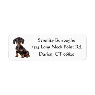 Dachshund Chien Noir Et Chien De Chien Brown Perso