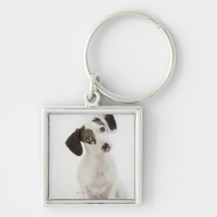 Dachshund/Chihuahua female puppy Keychain