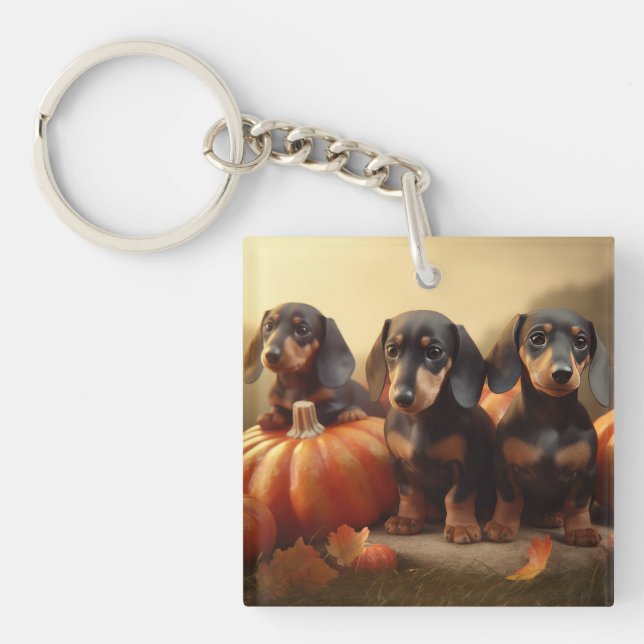 Dachshund Chiot Automne Citrouille de plaisir (Devant)