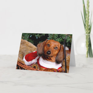 Dachshund Christmas Card