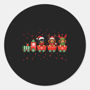 Dachshund Christmas Dog Lights Santa Xmas Pet Dog  Classic Round Sticker