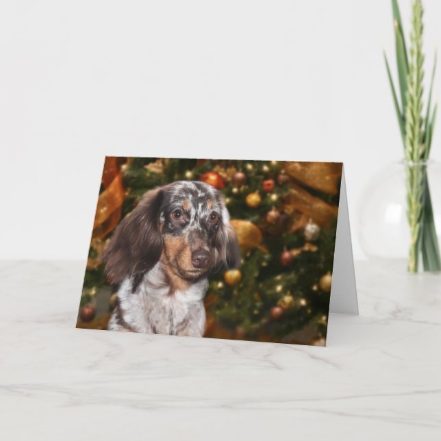 Dachshund Christmas Holiday Card (Front)