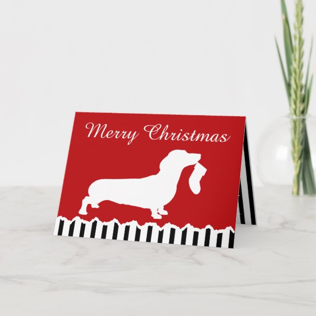 Dachshund Christmas Holiday Card (Front)
