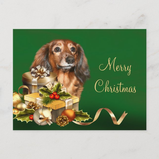 Dachshund Christmas Holiday Postcard (Front)