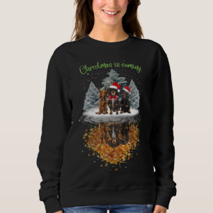 Dachshund Christmas Is Coming Cute Dog Graphic Tee