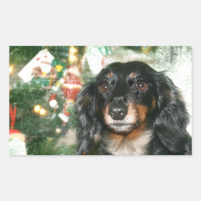 Dachshund Christmas Sticker (Front)
