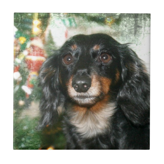 Dachshund Christmas Tile (Front)