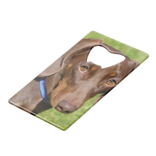 Dachshund Credit Card Bottle Opener