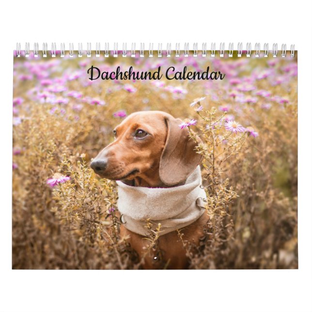 Dachshund Custom Year Calendar (Cover)