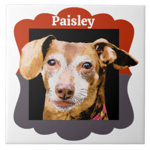 Dachshund customized pattern photo frame tile